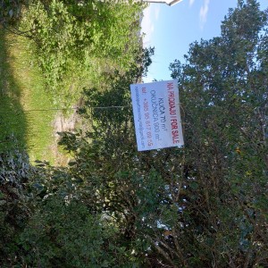 Drače,vikendica 55m2 sa okućnicom 900m2