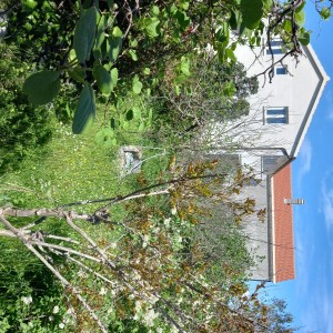 Drače,vikendica 55m2 sa okućnicom 900m2