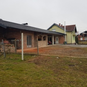 Kuca brestaca-novska