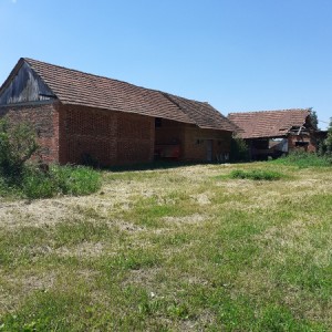 Obiteljska kuca