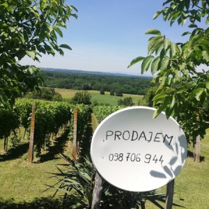 VINOGRAD