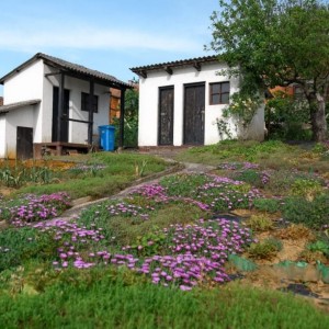 Kuća Križevci , Cubinec 130 m2