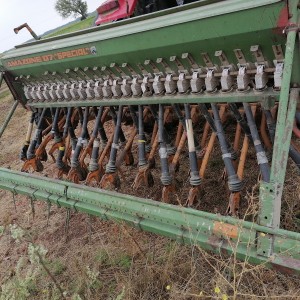 Sijačica Amazone D7