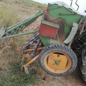 Sijačica Amazone D7
