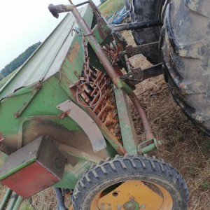 Sijačica Amazone D7