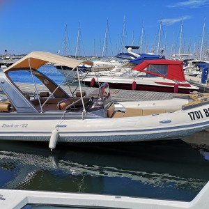 SHARK 23