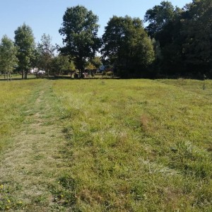 Prodaje se stara obiteljska kuca