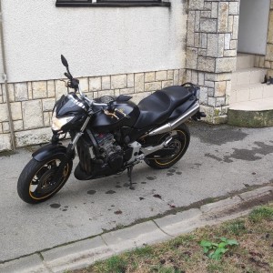 honda hornet 900