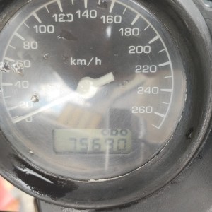 honda hornet 900