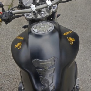 honda hornet 900