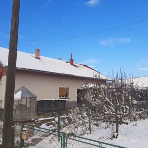 Obiteljska kuca