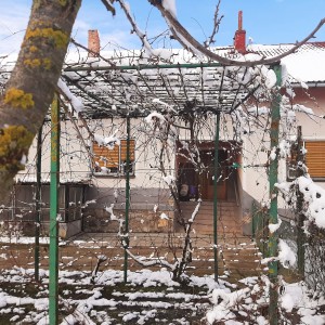 Obiteljska kuca