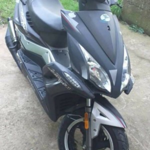 Motor Engage Raport 49cm3, 2011 god