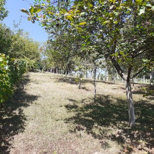 Koprivnica okolica, Kunovec breg, Jugov jarek 44. Tel. 048638222