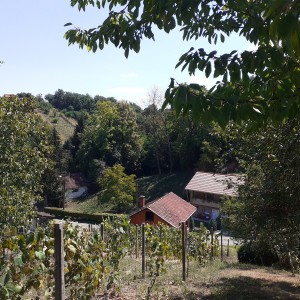 Koprivnica okolica, Kunovec breg, Jugov jarek 44. Tel. 048638222