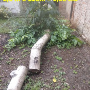 Prodaja trupaca oraha i trešnje