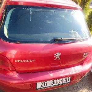 Peugeot 307 2.0 HDI
