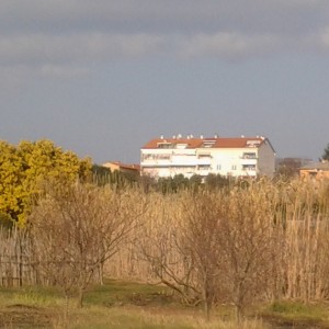 Pula,apartman 32m2,top pozicija uvala Valsaline