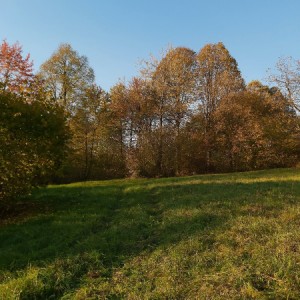 Zemljište