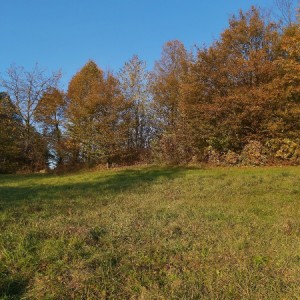 Zemljište