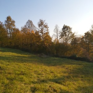 Zemljište