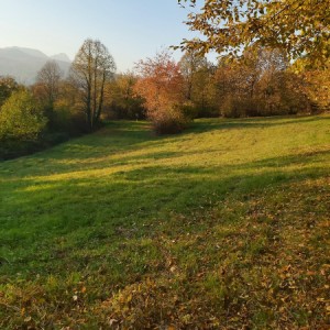 Zemljište