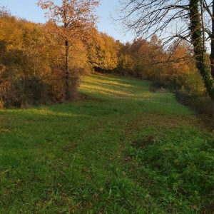 Zemljište