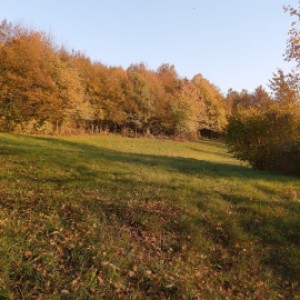 Zemljište