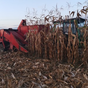 Sip tornado 70