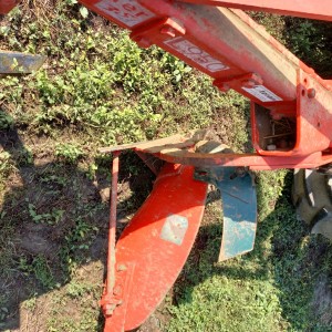 Plug vogel noot L 950