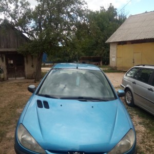 Peugeot 206 (samo pozivi)