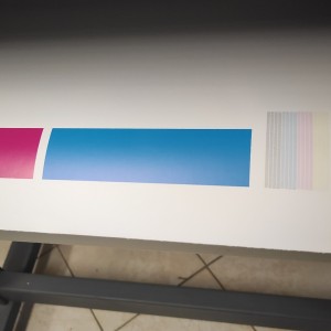 Roland SP 300V printer/cutter