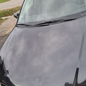 Audi A3 1.9tdi, Rega godina dana