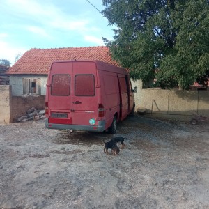 Kombi