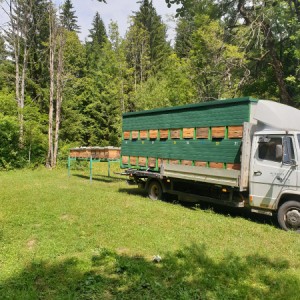 PLATFORMA ZA PČELE