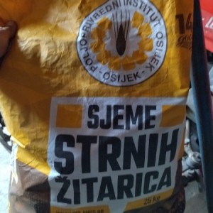 JEČAM PRVA REPRODUKCIJA