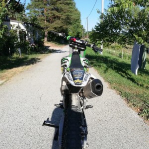 Kawasaki 450