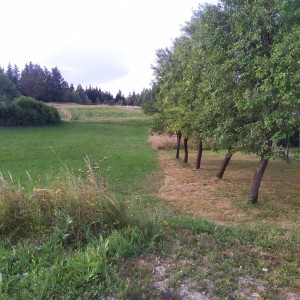 Građevinsko zemljište u Gorskom kotaru Ravna Gora