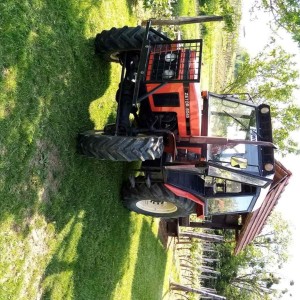 Traktor Zetor 6045