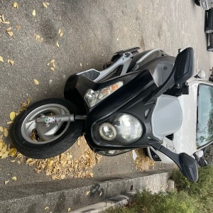 Sym Joymax 250, 2008. godina