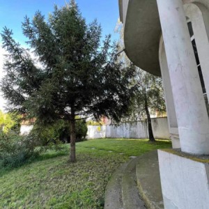 Kuća na prodaju BGD Cvetanova ćuprija