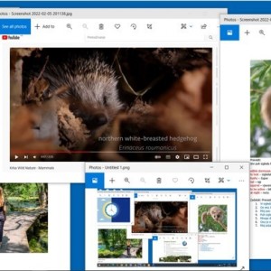 Engleski - online poduka prilagođena Vašim potrebama