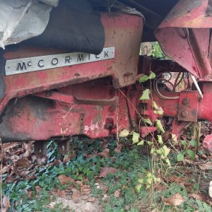 Mc Cormick