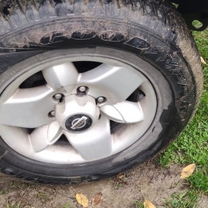 Nissan Terrano 2