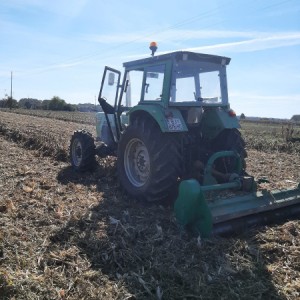 Torpedo 9006