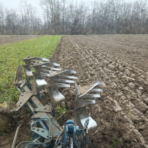 Plug Rabe Albatros 120