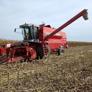 žitni kombajn Massey Ferguson 36rs