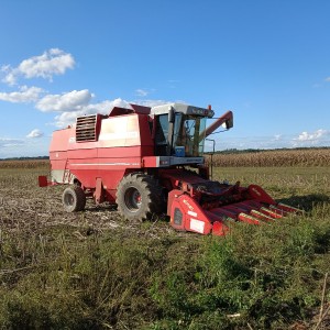 žitni kombajn Massey Ferguson 36rs