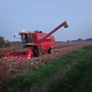 žitni kombajn Massey Ferguson 36rs