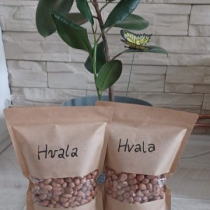 Domaći lješnjak